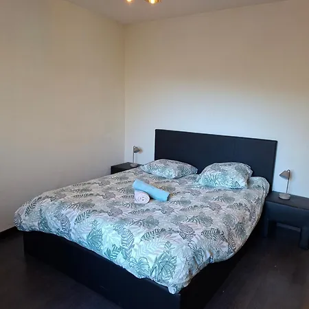 Flat דירה